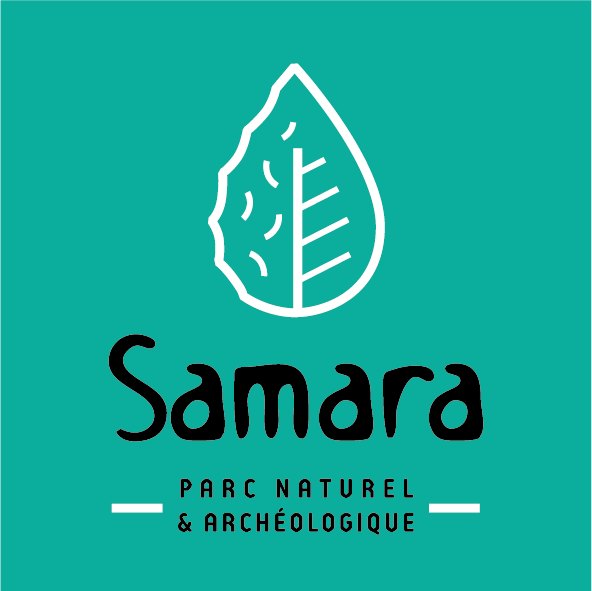 logo_samara_vert.png