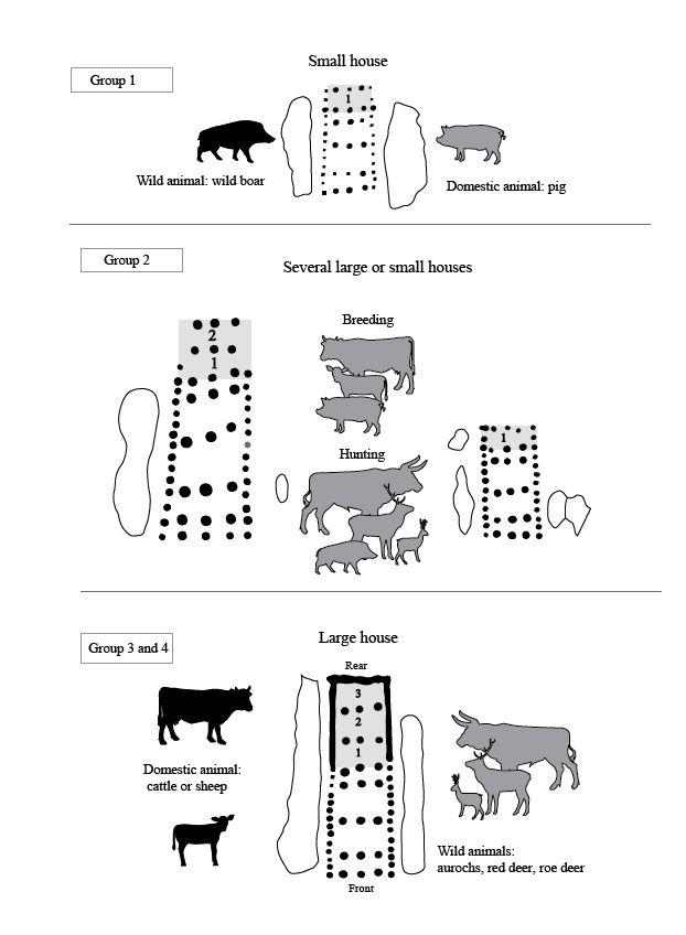  une grande maison avec des proportions plus élevées de bovins ou de caprins, une petite maison avec des proportions plus élevées de grand et petit gibier, notamment de sanglier, et plusieurs petites et moyennes maisons sans tendance particulière de ce type.