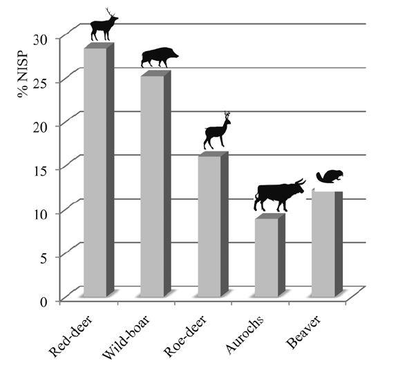 Proportion des principales espèces sauvages chassées pendant la période du Rubané (LBK, Néolithique ancien).