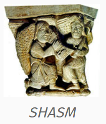Logo SHASM