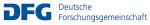 Logo DFG Logo DFG