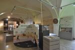 museum_dhistoire_naturelle-nimes-jl_bellurget.jpg