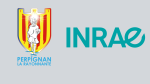 Logos Perpignan JEP