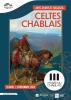 Affiche Celtes Affiche Celtes