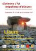 affiche_llauro.jpg
