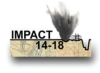 impact 14-18 logo