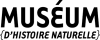 museum.png