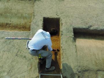 10425_vignette_4.jpg