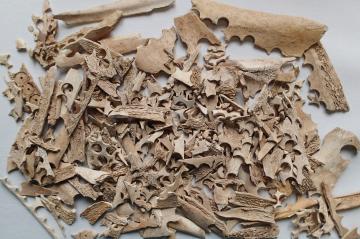 12-rodet-nice-caserne-filley-us-40-boutons-1536x1019.jpg