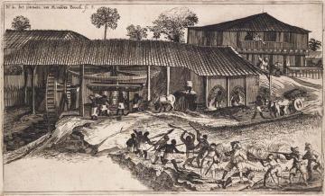 Une des plus anciennes habitations-sucreries découvertes en Guadeloupe