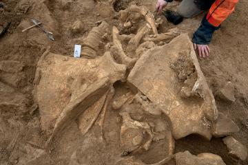 Un mammouth et des hommes de Néandertal sur les rives de la Marne