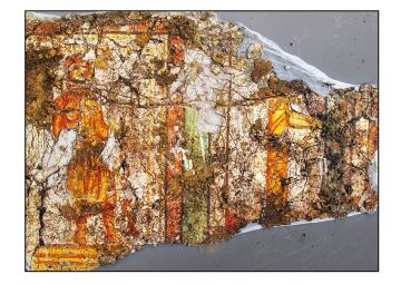 Les peintures romaines exceptionnelles de la place du Château à Strasbourg