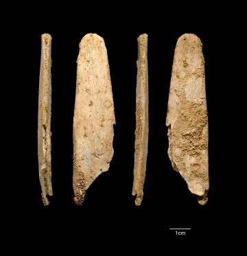 Néandertal a fabriqué les premiers outils spécialisés en os d'Europe