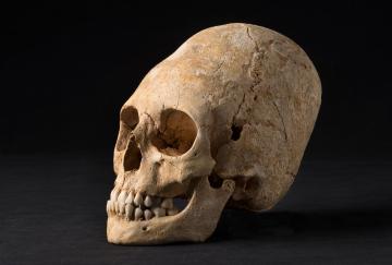 Un site archéologique d'exception à Obernai (Bas-Rhin) : plus de 6 000 ans d'occupation