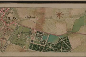 Dijon Montmuzard 13