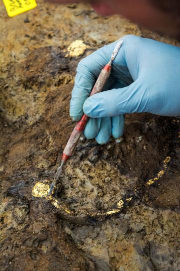 La sépulture aristocratique de Warcq : une exceptionnelle tombe à char gauloise (Ardennes)