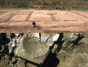 ZAC des Fossés Neufs