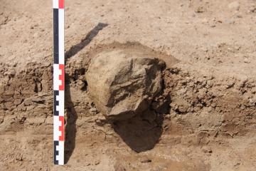 Les plus vieux outils du monde ont 3,3 millions d'années