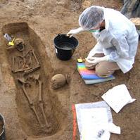 Les sciences de l'archéologie