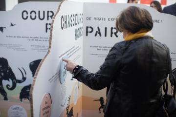 Présentation en avant-première, au siège de l’Inrap, de l’exposition « Paléolithique, un monde de chasseurs-cueilleurs » Archéo chrono 6.jpg