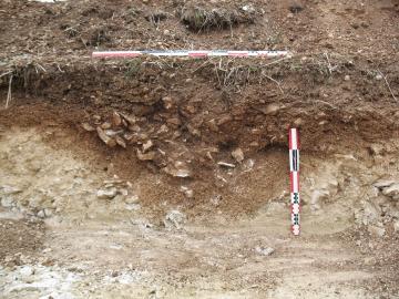 Coupe réalisée dans un fossé d'enclos circulaire