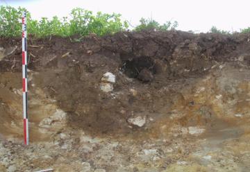 Vue en coupe d'un des fossés antiques