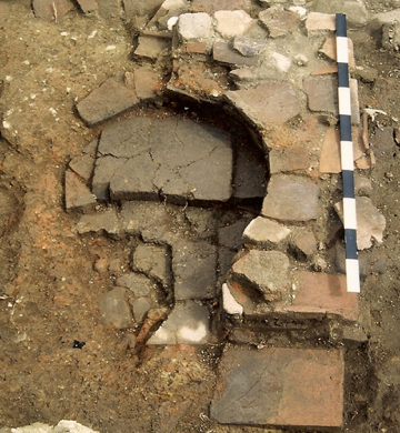 7553_photo_fig.5.png