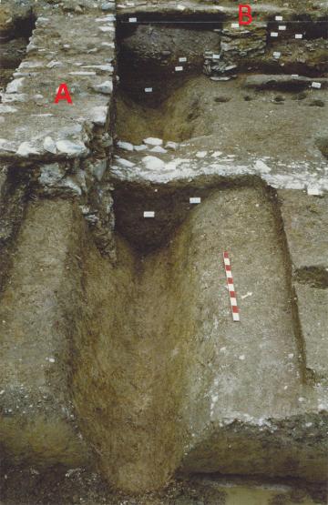 7719_photo_fig3-2.jpg