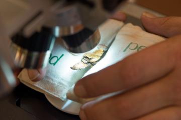 Le mobilier de Lavau au C2RMF