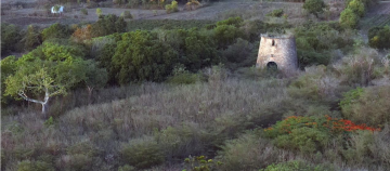 Vue aérienne du moulin à vent de l'habitation Belle-Allée rebâti en 1827 (Guadeloupe) 