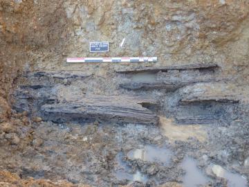 Conduits en bois de chêne (Quercus) sur le tronçon est du probable aqueduc de l'Izéron (Lyon).