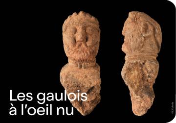 Conf Gaulois à l'oeil nu