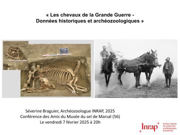 conference_chevaux_guerre.jpg conference_chevaux_guerre.jpg