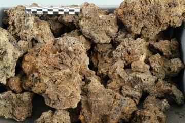 Les déchets créés lors de la production du fer sont multiples. A chaque étape de la production, ces déchets que l'on appelle scories ont une forme particulière. Cette forme permet de déterminer l'étape dans la production de la réduction du minerai de fer. Les scories de fond de four sont plus sombres. Elles sont des dimensions très variables et toujours fragmentaires. Leur surface est couverte de porosités alvéolaires anguleuses et présentent de nombreuses empreintes de charbon.