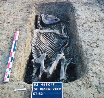 Vue générale de la tombe de cheval