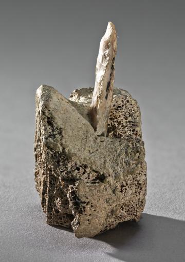 fleche_en_silex_dans_une_vertebre.jpg fleche_en_silex_dans_une_vertebre.jpg