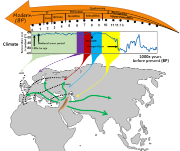 Reconstruction de l'histoire de la culture du blé