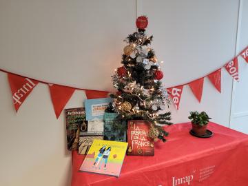 Sous le sapin