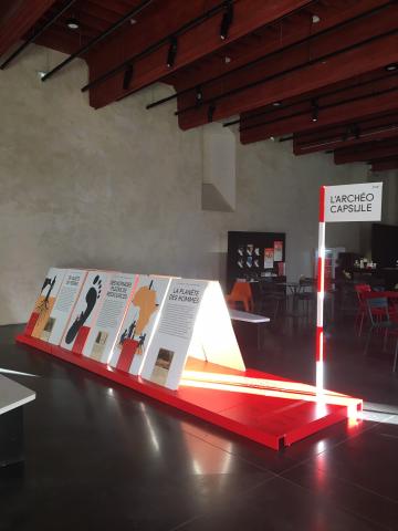 Installation de l'Archéocapsule  « Migrations » au Musée Saint-Raymond de Toulouse
