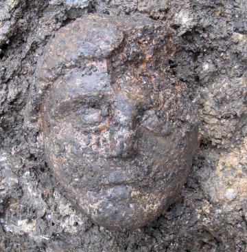 Visage d'Epona, au musée Bernard d’Agesci de Niort Visage d'Epona, au musée Bernard d’Agesci de Niort