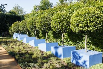 jardin.jpg