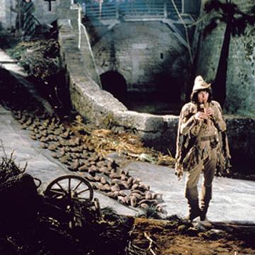 Le Joueur de flûte, Jacques Demy
