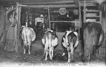 Intérieur de ferme : en avant, l’étable, au fond, le logis (Bretagne)