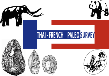 Logo Thai-French Paleosurvey 