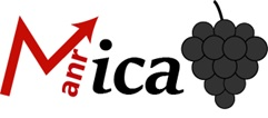 MICA
