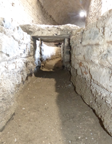 Vienne 3