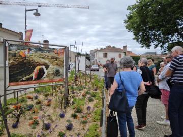 Talmont Saint Hilaire évènement.jpg