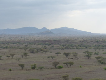 La région de Nariokotome (West Turkana, Kenya)