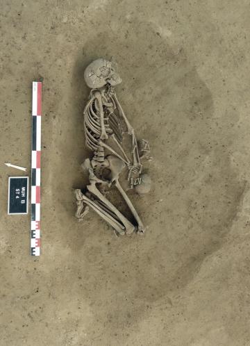 Sépulture rubanée de tradition I, site de Morschwiller-le-Bas "Ungeheuer Hoelzle" (Haut-Rhin, Alsace). 
