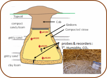 silarchaeobio_inra.png